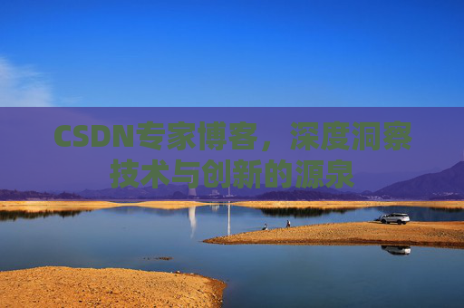 CSDN专家博客，深度洞察技术与创新的源泉